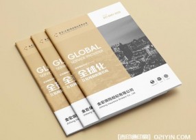金融保險(xiǎn)行業(yè)畫(huà)冊(cè)設(shè)計(jì)印刷