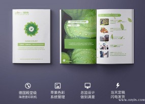 企業(yè)畫冊(cè)