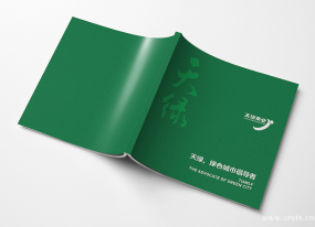 宣傳畫(huà)冊(cè)印刷