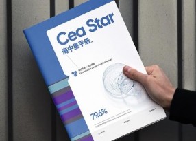 商業(yè)研發(fā)手冊設(shè)計印刷