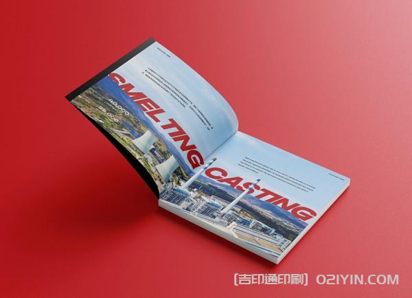 外企業(yè)畫(huà)冊(cè)設(shè)計(jì)印刷  第2張