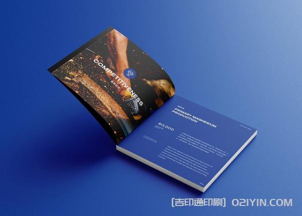 外企業(yè)畫(huà)冊(cè)設(shè)計(jì)印刷  第7張