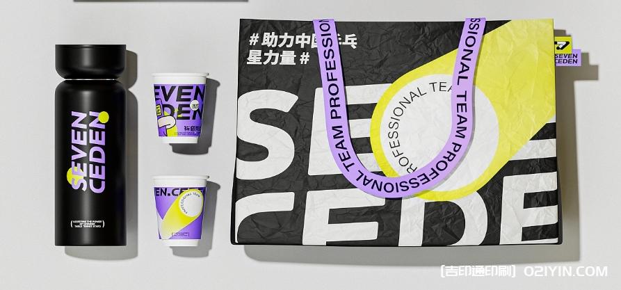 體育教育類(lèi)品牌VI系統(tǒng)標(biāo)志設(shè)計(jì)  第4張