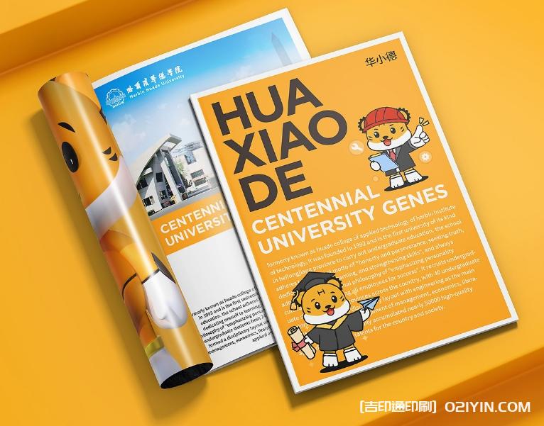 智能科技產(chǎn)品手冊設(shè)計印刷  第4張