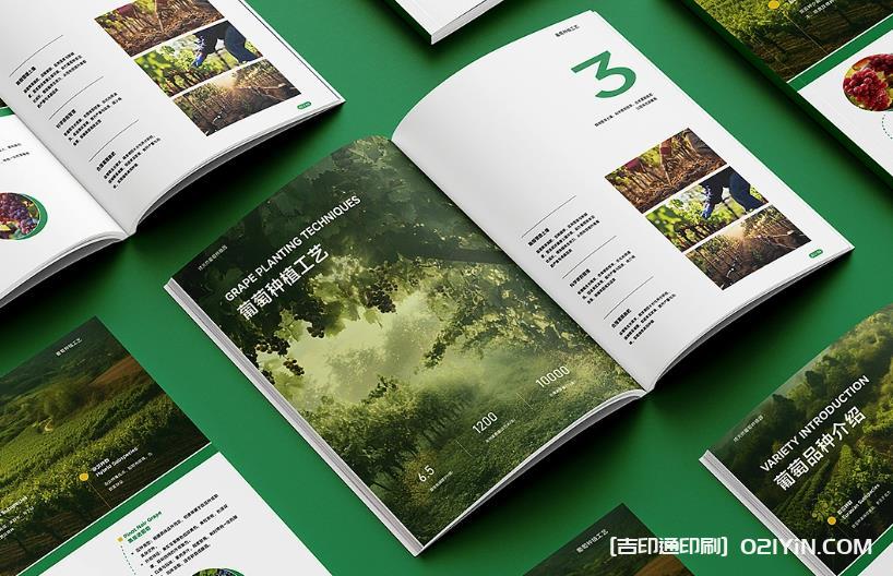 上海企業(yè)畫冊印刷專家：從設計到成品，一站式品質(zhì)服務